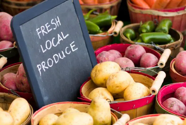 Farm Shop | Farming Diversity | Storage on Site