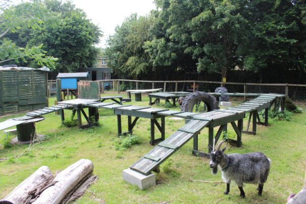 20ft Shipping Container Classroom at Southampton City Farm