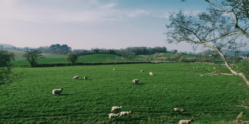 British Farmland, UK Farming, Farming Diversity