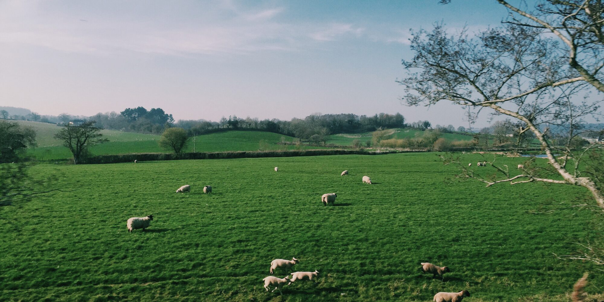 British Farmland, UK Farming, Farming Diversity